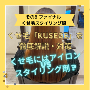 くせ毛「KUSEGE」を徹底解説・対策 その８ ファイナル