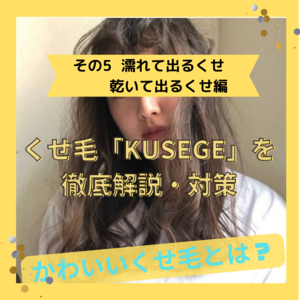 くせ毛「KUSEGE」を徹底解説・対策 その５