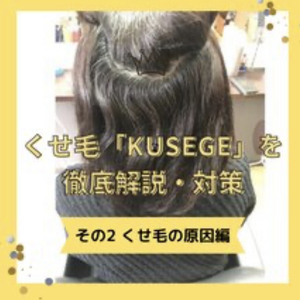 くせ毛「KUSEGE」を徹底解説・対策　その2　くせ毛の原因編