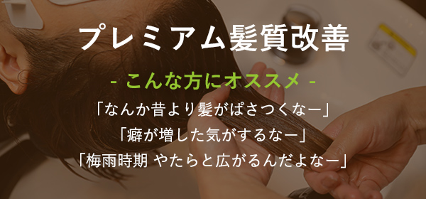 プレミアム髪質改善