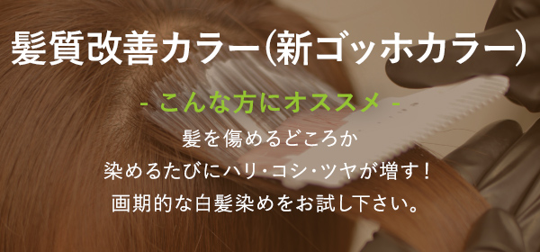 くせ毛専用カラー（ゴッホカラー）