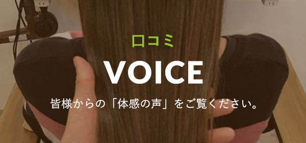 voice